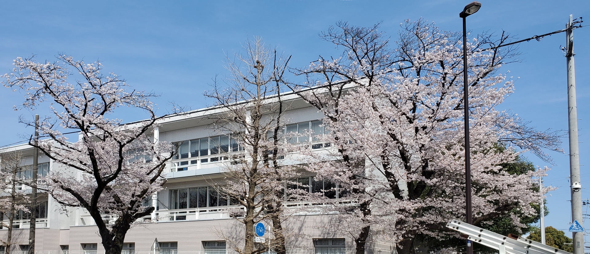 看護の夢を叶える岐阜市立看護専門学校入試ガイド】合格から学校生活 